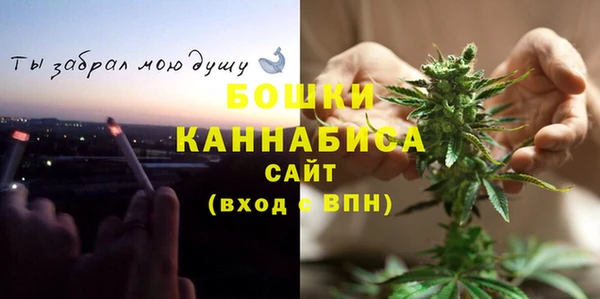ГАЛЛЮЦИНОГЕННЫЕ ГРИБЫ Балабаново